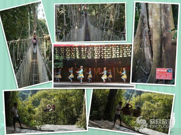 ��˫����������